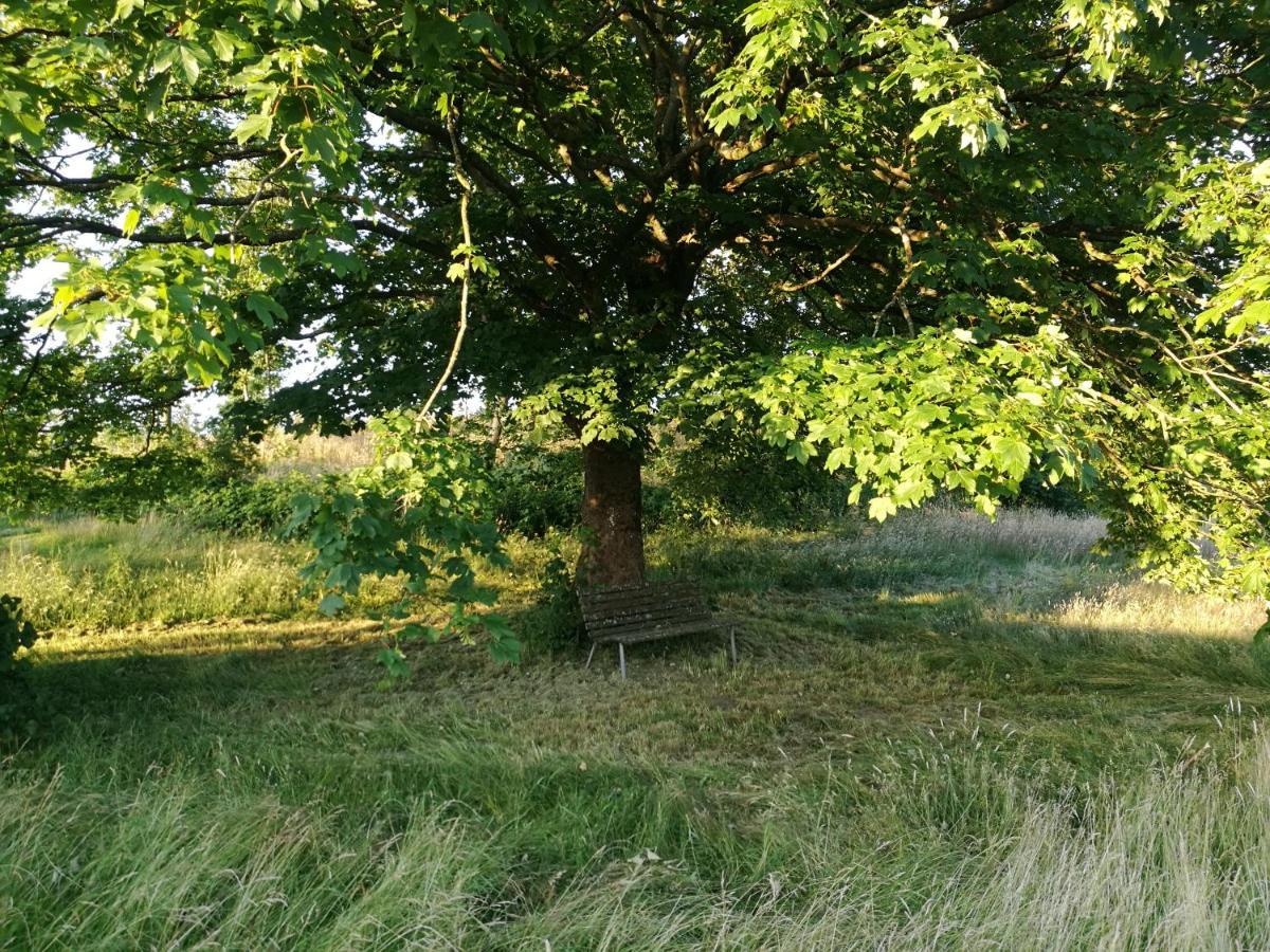 Haervejsly - Perfekt Familiebase Til Oplevelse Af Sydjylland Villa Give Exterior foto