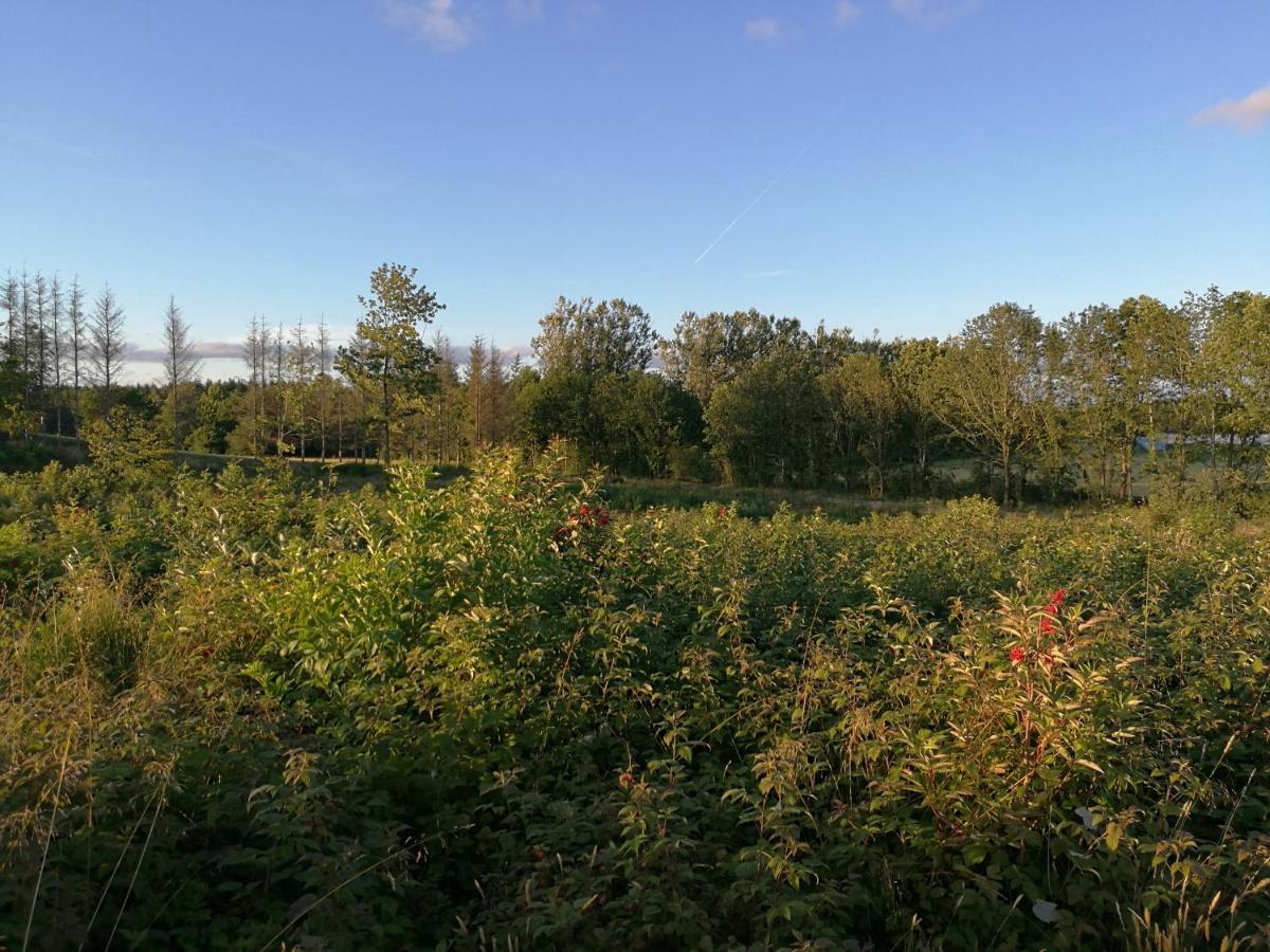 Haervejsly - Perfekt Familiebase Til Oplevelse Af Sydjylland Villa Give Exterior foto