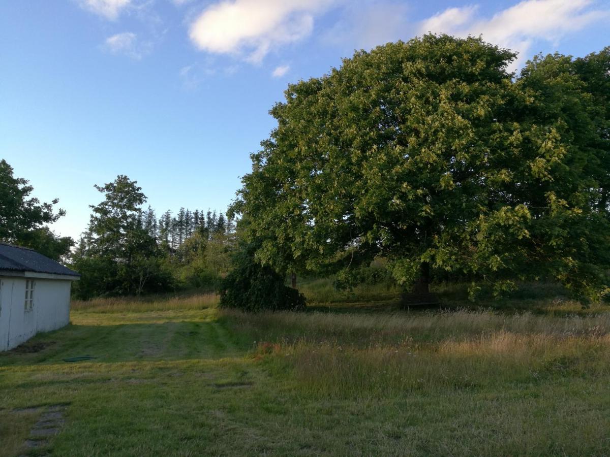 Haervejsly - Perfekt Familiebase Til Oplevelse Af Sydjylland Villa Give Exterior foto