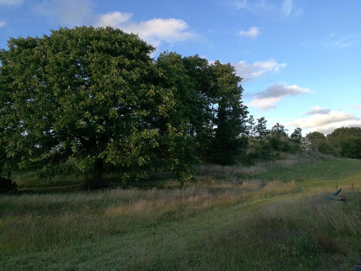 Haervejsly - Perfekt Familiebase Til Oplevelse Af Sydjylland Villa Give Exterior foto