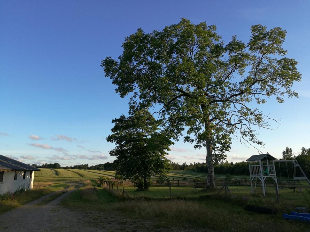 Haervejsly - Perfekt Familiebase Til Oplevelse Af Sydjylland Villa Give Exterior foto